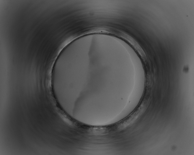 X0000102840858200809081218