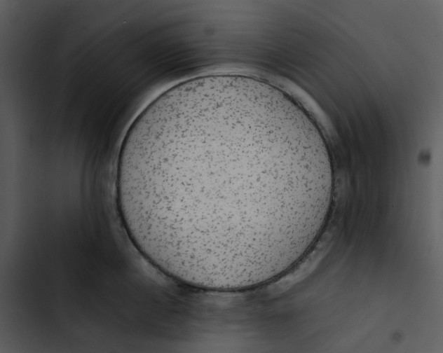 X0000102840860200809081218