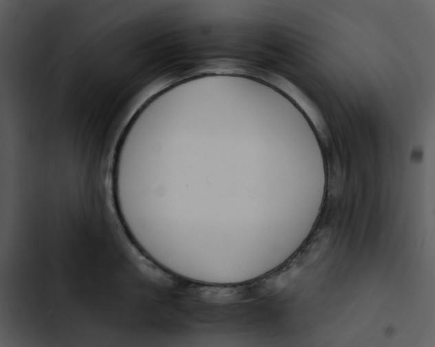 X0000102840861200809081218