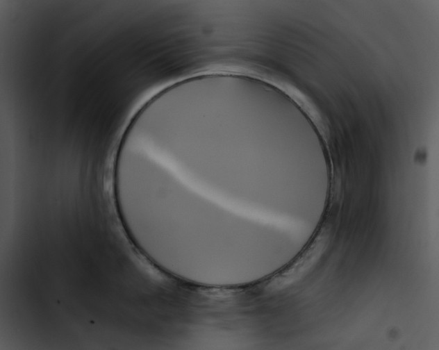 X0000102840862200809081218