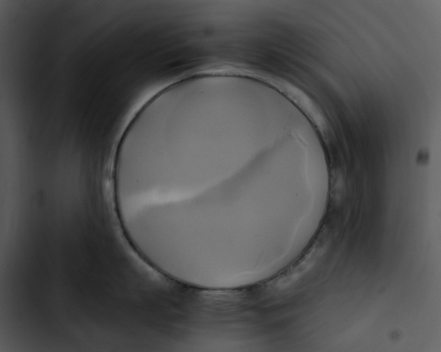 X0000102840863200809081218