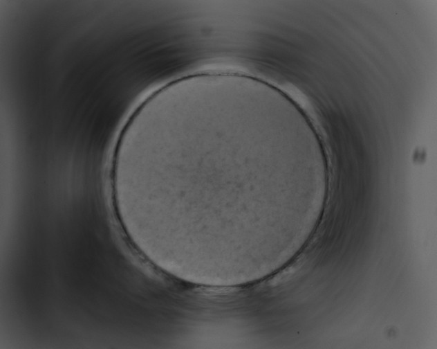 X0000102840864200809081218