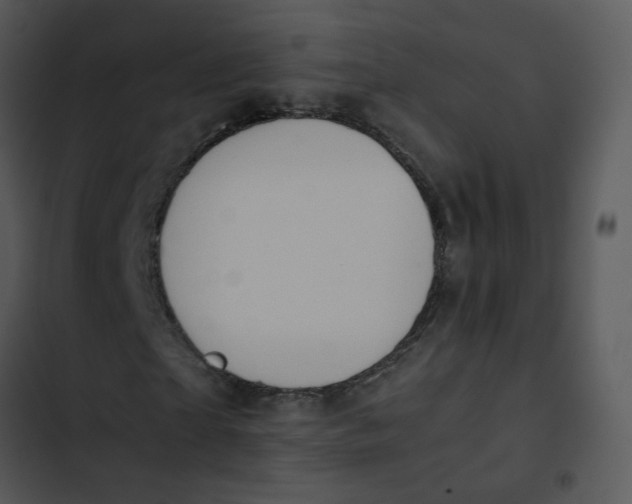 X0000102840865200809081217