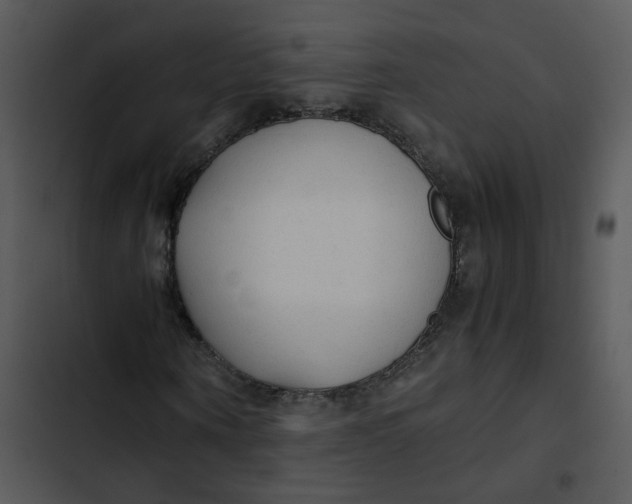 X0000102840866200809081217