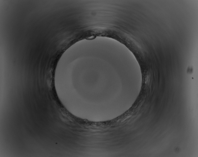 X0000102840868200809081217