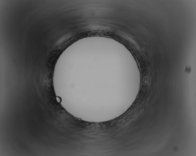 X0000102840869200809081217