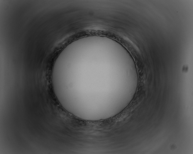 X0000102840870200809081217