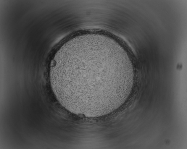 X0000102840871200809081217