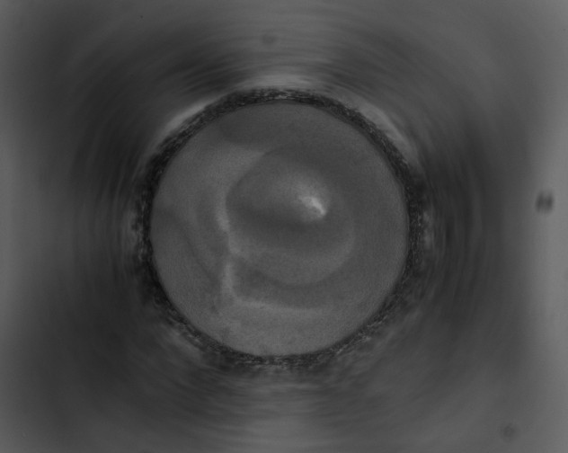 X0000102840872200809081217