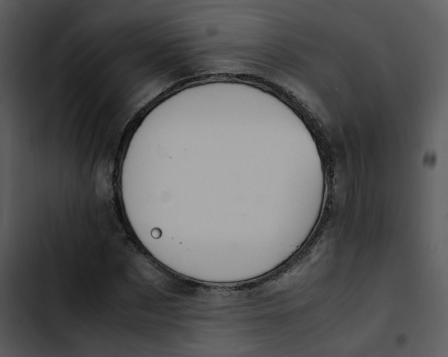 X0000102840873200809081217