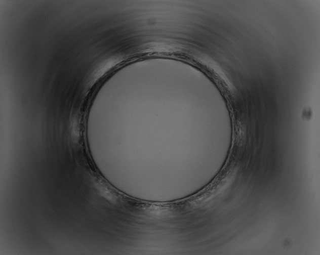 X0000102840874200809081217