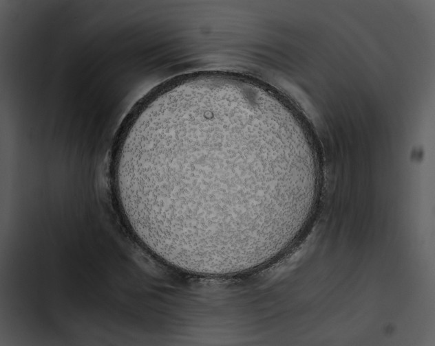 X0000102840875200809081217