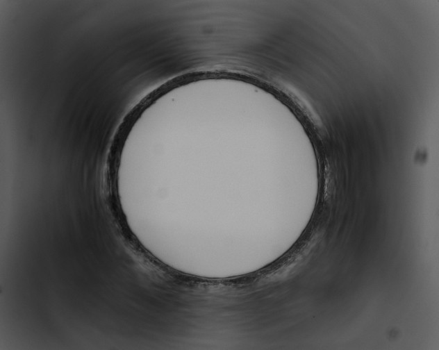 X0000102840876200809081217