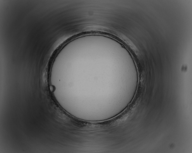 X0000102840877200809081217