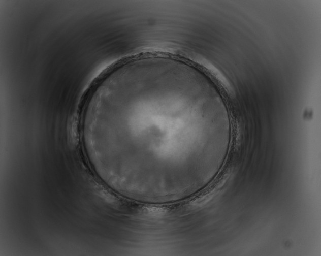 X0000102840878200809081217