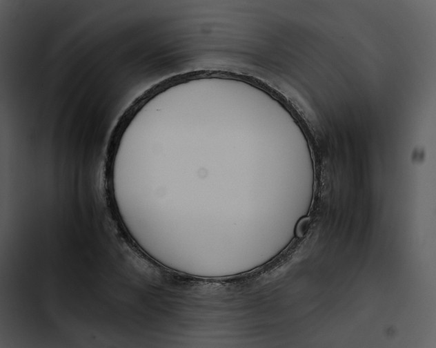 X0000102840880200809081217