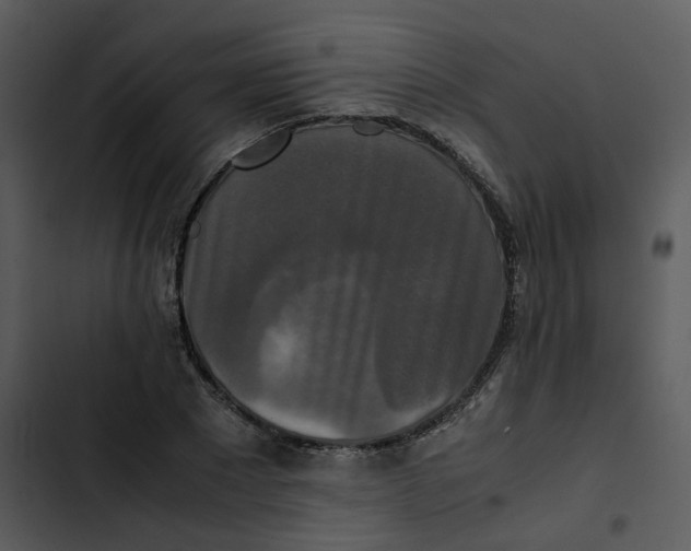 X0000102840881200809081217