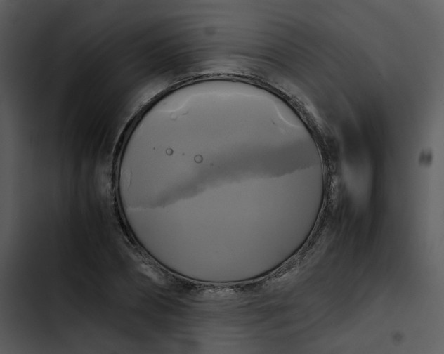 X0000102840882200809081217