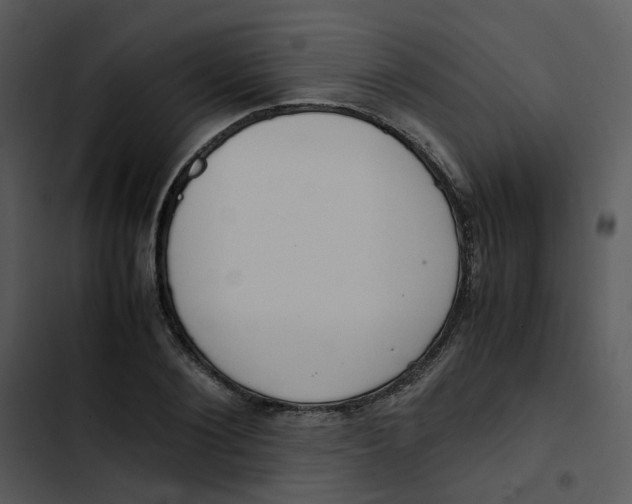 X0000102840884200809081217