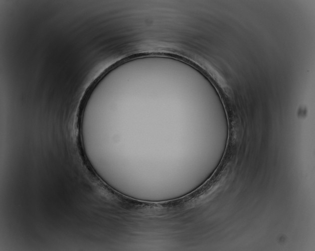 X0000102840885200809081217