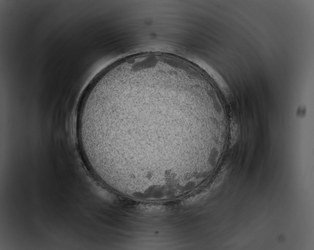 X0000102840886200809081217