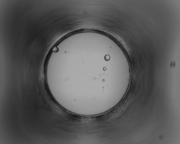 X0000102840887200809081217