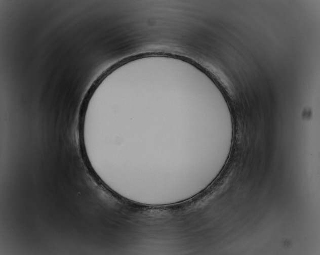 X0000102840888200809081217