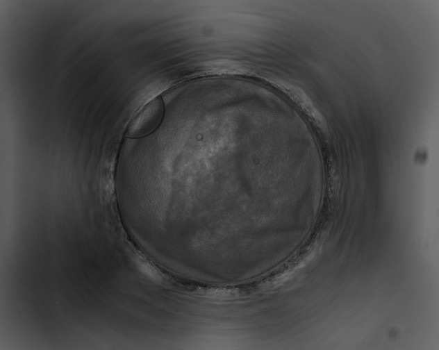 X0000102840889200809081217