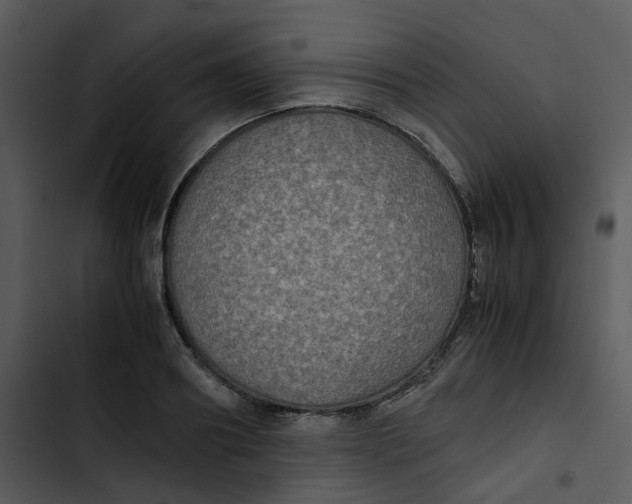 X0000102840890200809081217