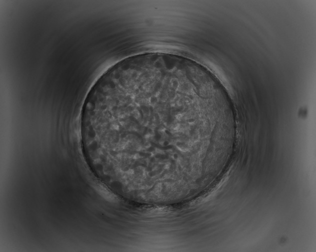 X0000102840891200809081217