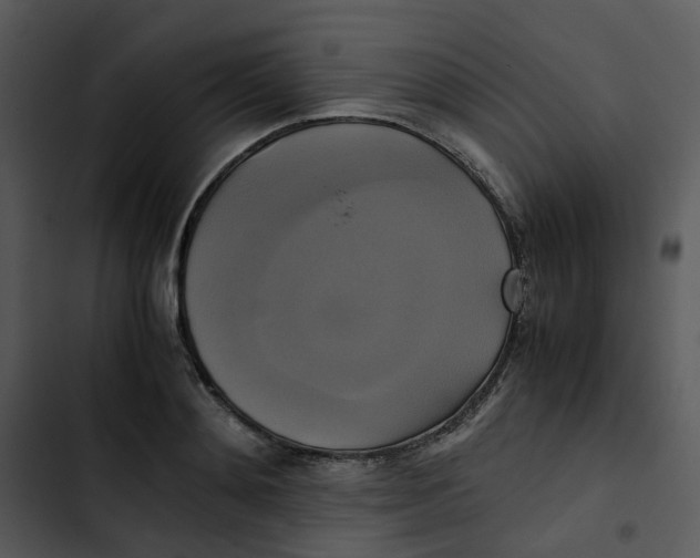 X0000102840892200809081217