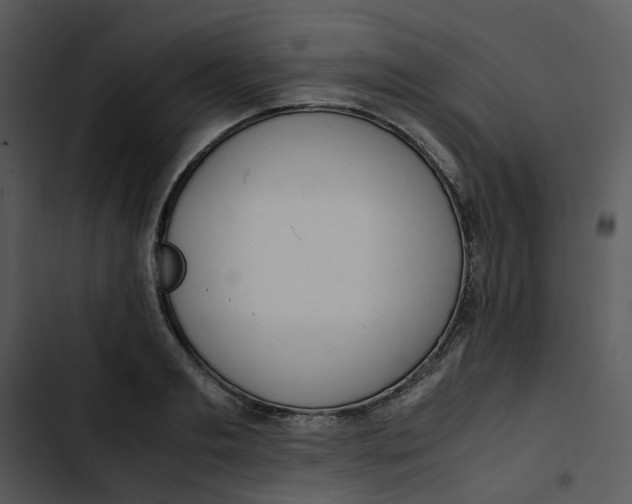 X0000102840893200809081217