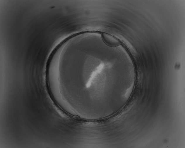 X0000102840894200809081217