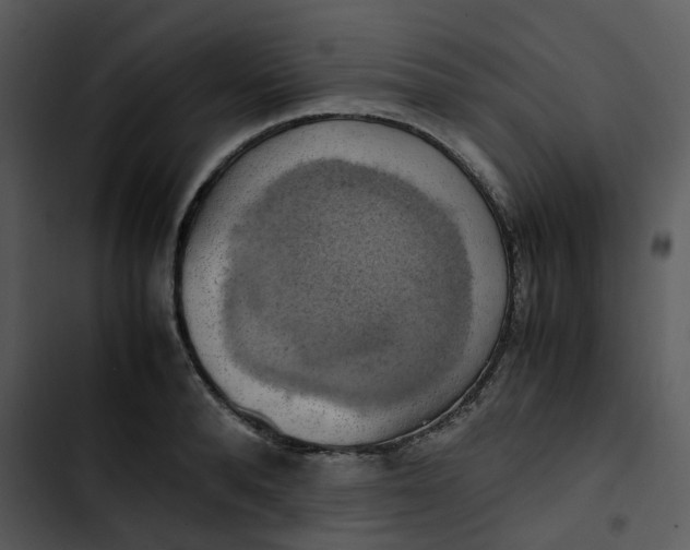 X0000102840896200809081217