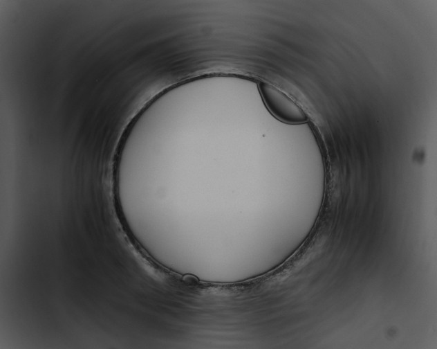 X0000102840898200809081217