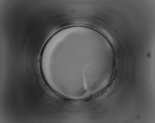 X0000102840899200809081217