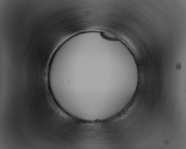 X0000102840900200809081217