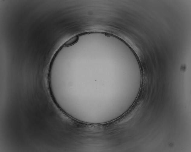 X0000102840901200809081217