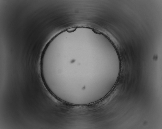 X0000102840902200809081217