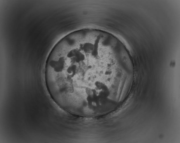 X0000102840903200809081217