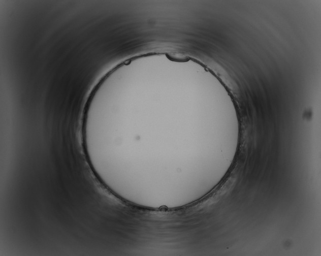 X0000102840904200809081217