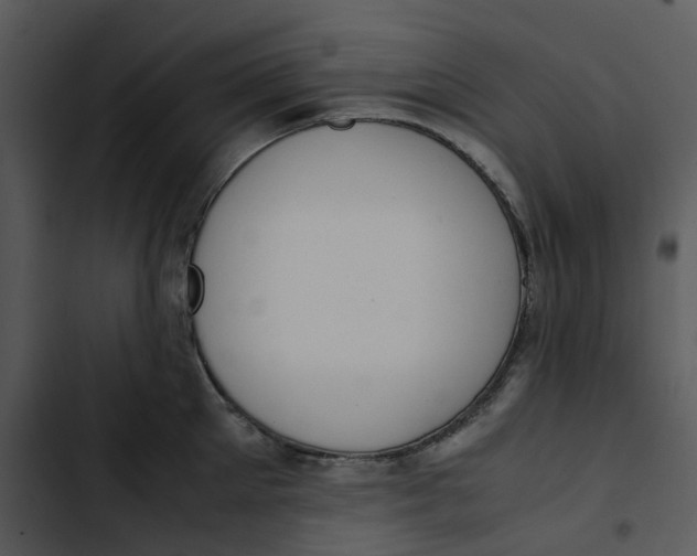 X0000102840905200809081217