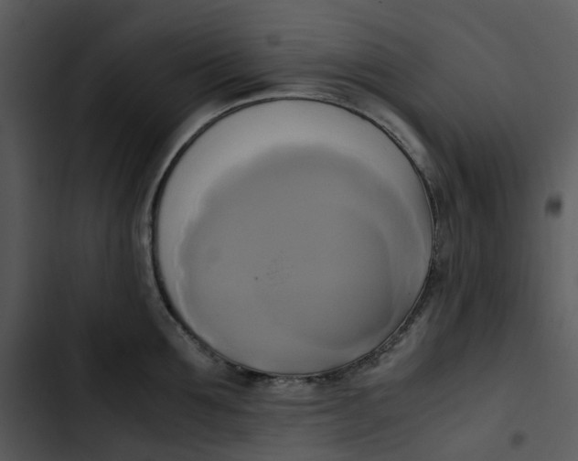 X0000102840907200809081217