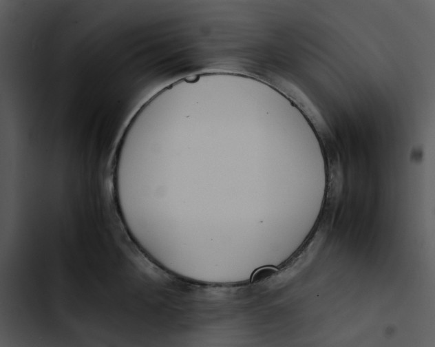 X0000102840908200809081217