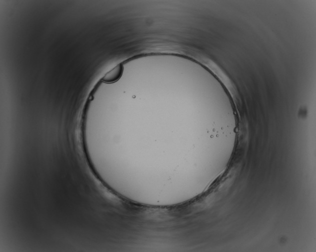 X0000102840909200809081217