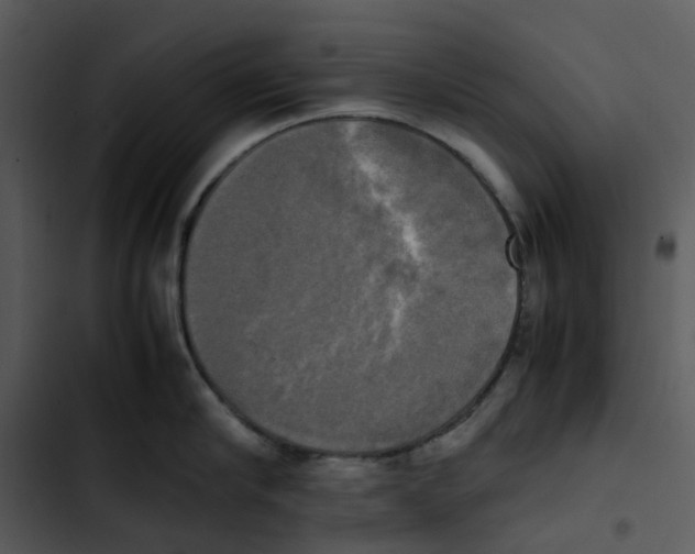 X0000102840910200809081217