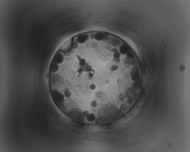 X0000102840911200809081217