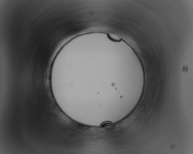 X0000102840912200809081217