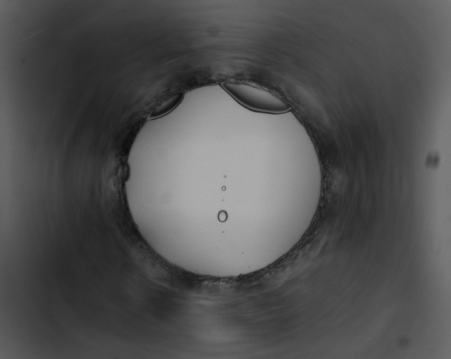 X0000102840914200809081216