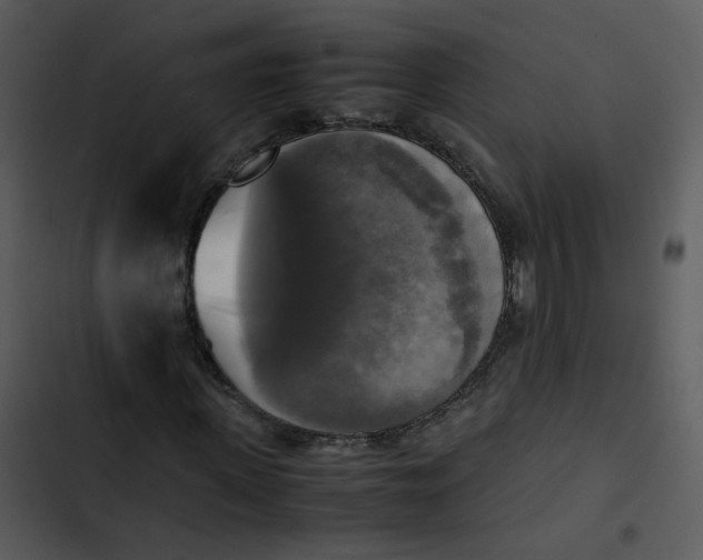 X0000102840915200809081216